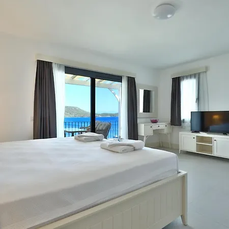 Aktur Villas Vilă